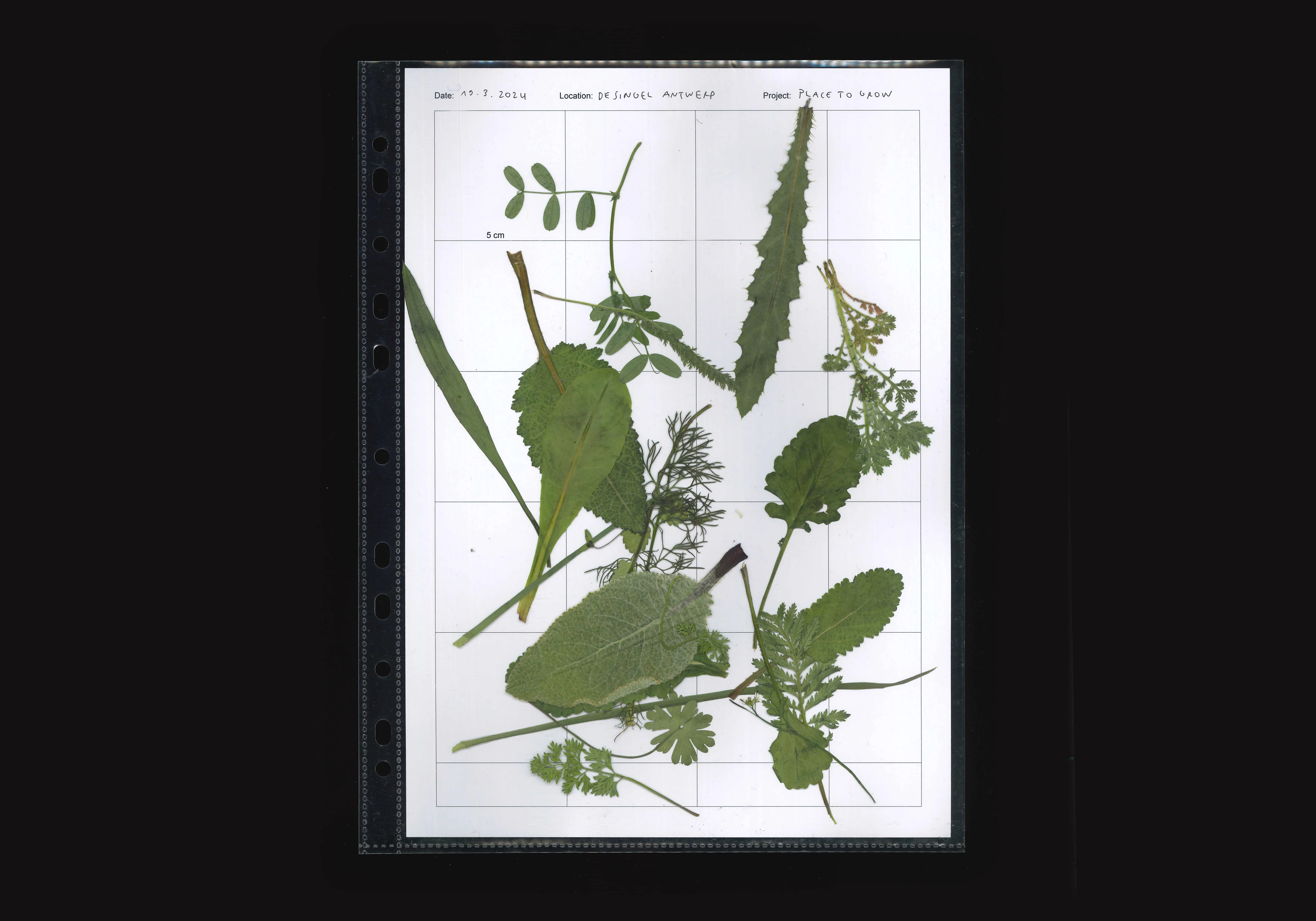 Project image